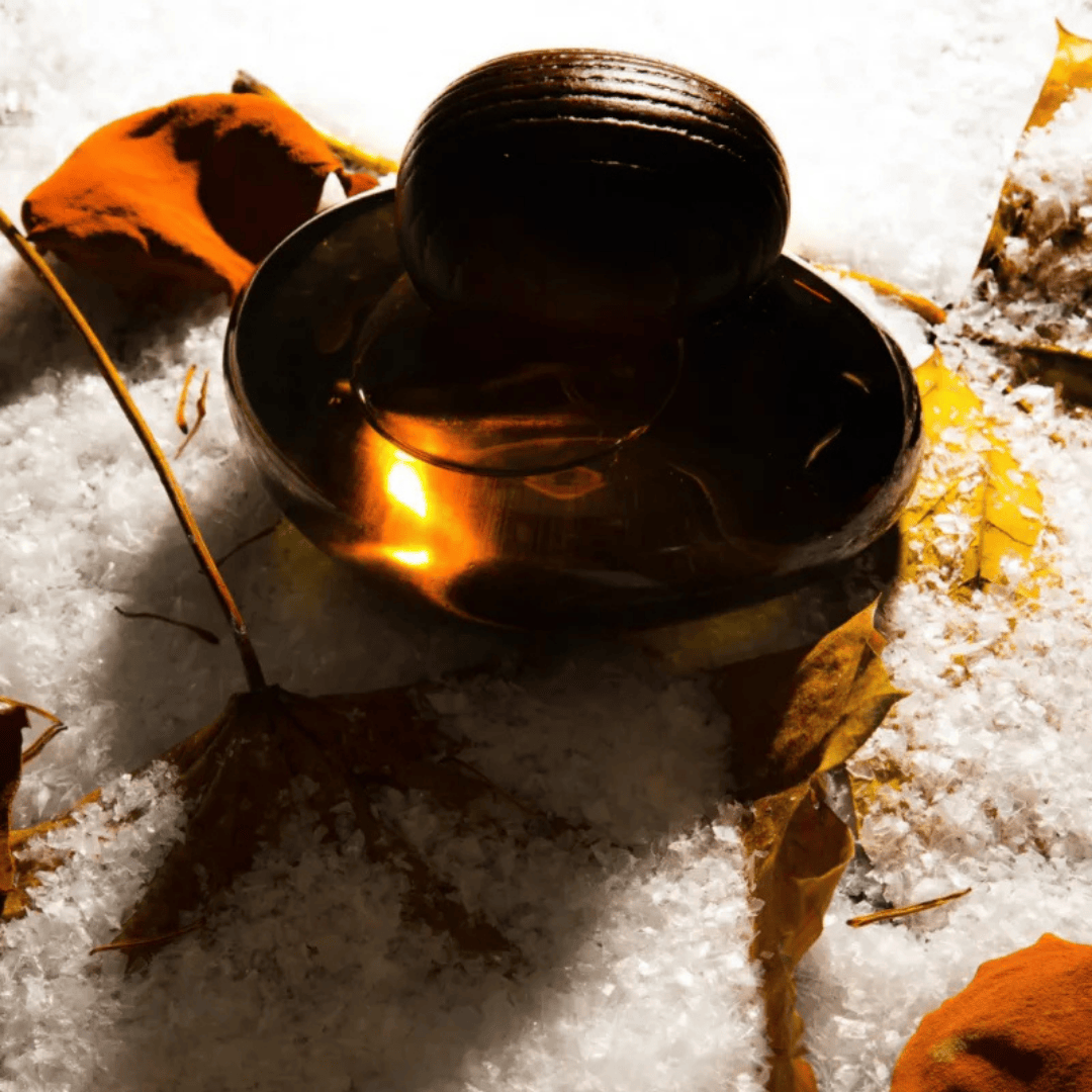 Majda Bekkali Fusion Sacrée Obscur Extrait de Parfum, Flakon auf Schnee mit Blättern inszeniert, warm und kontrastreich, erhältlich bei scent amor.