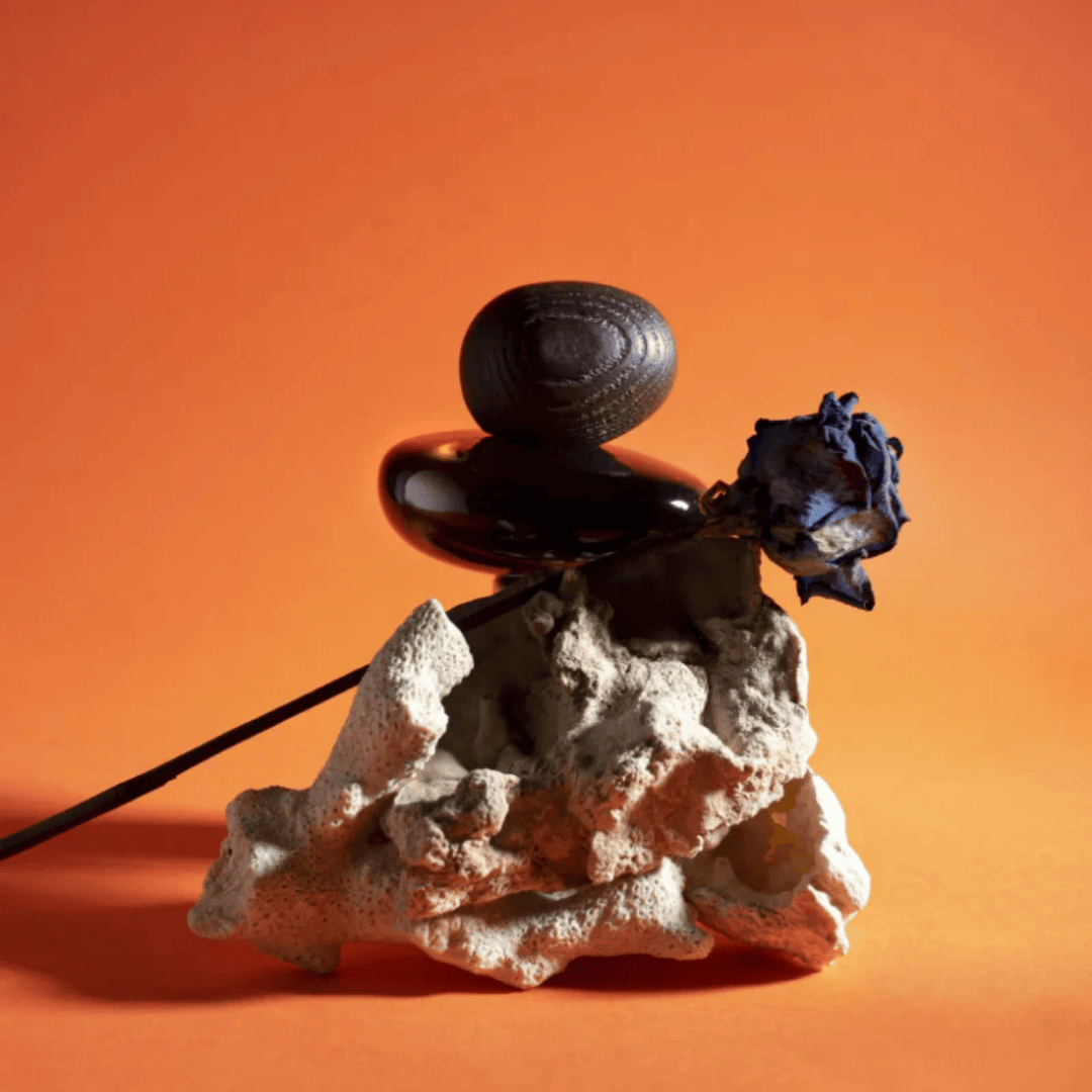 Majda Bekkali Mudejar Obscur Extrait de Parfum, inszeniert auf Koralle mit getrockneter Blume, warm und künstlerisch, erhältlich bei scent amor.