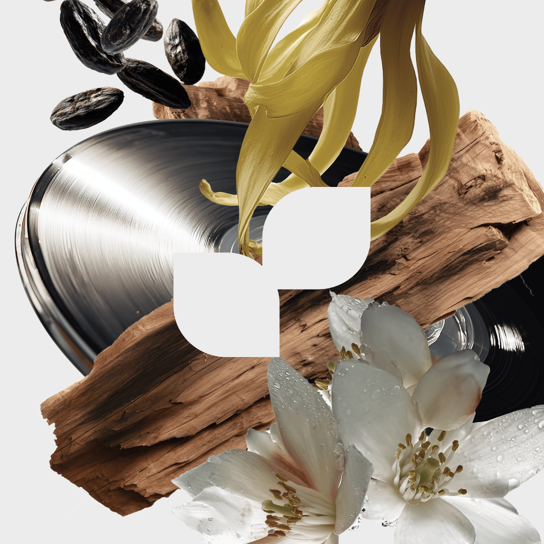 Mayhap Potion d’Inconnu Eau de Parfum, Komposition aus Vanille, edlen Hölzern und floralen Noten, cremig und sinnlich interpretiert, erhältlich bei scent amor.