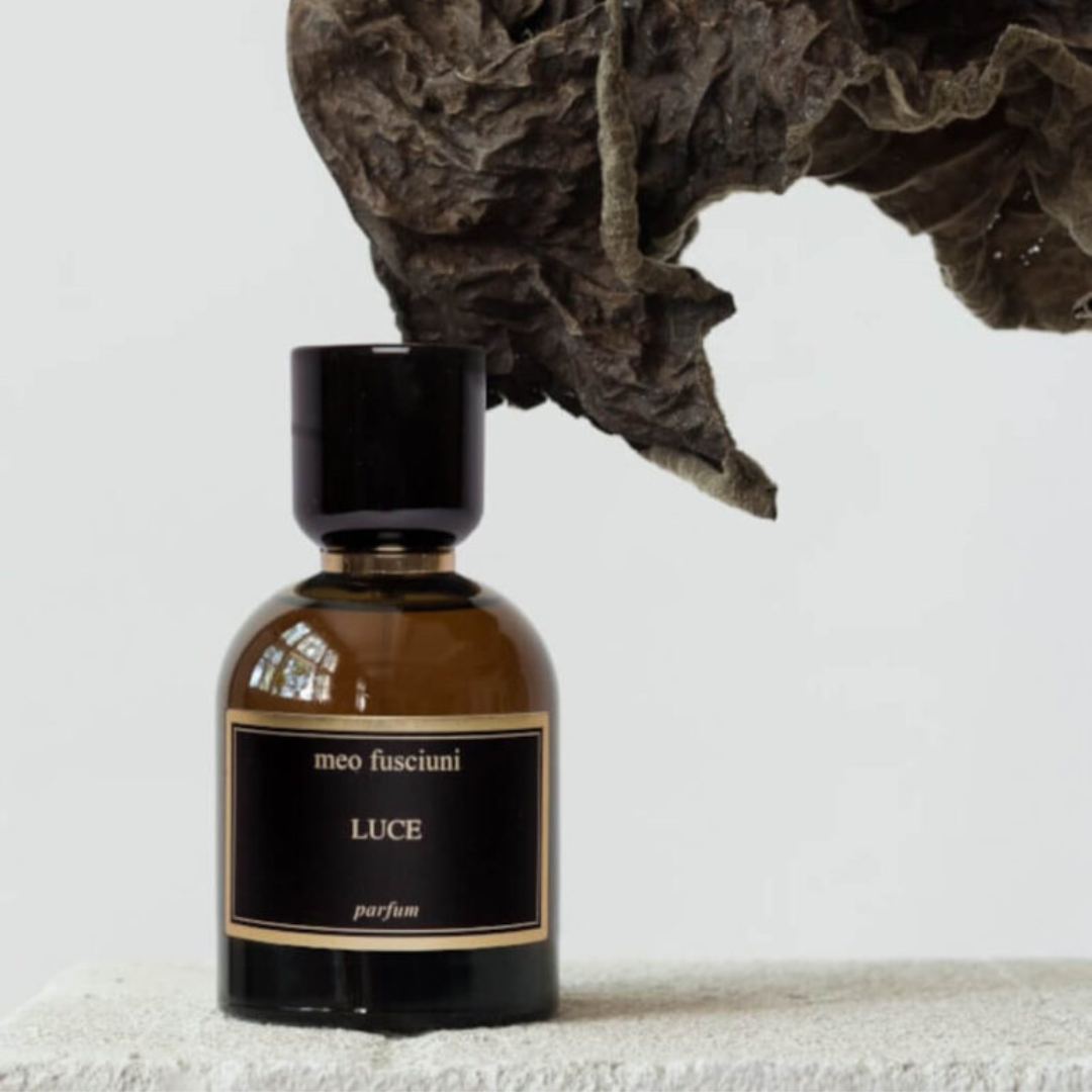 Duftbild mit dem Eau de Parfum Luce von Meo Fusciuni und organischem Naturmaterial, luftiger holzig-aromatischer Duft mit sanfter Lichtwirkung, erhältlich bei scent amor.