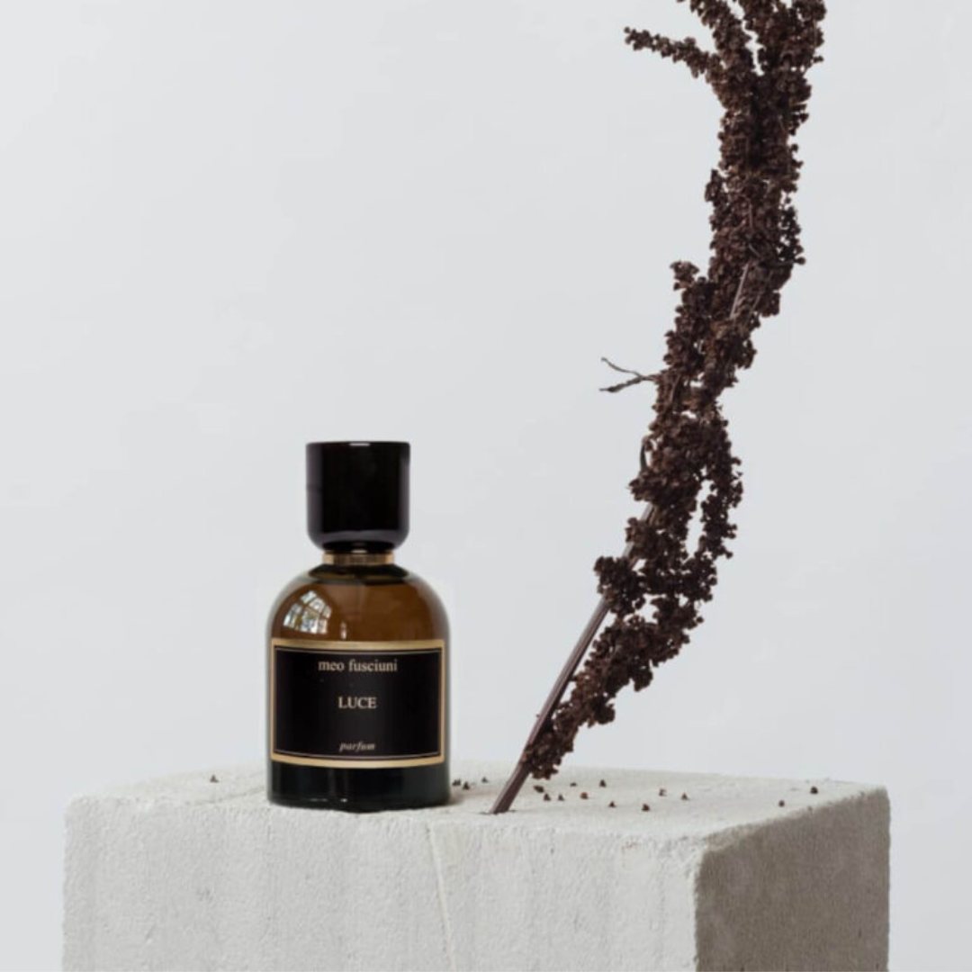 inszenierter Flakon von dem Eau de Parfum Luce von Meo Fusciuni auf hellem Stein mit Pflanze, minimalistischer Duft mit natürlicher Frische und stiller Eleganz, erhältlich bei scent amor.