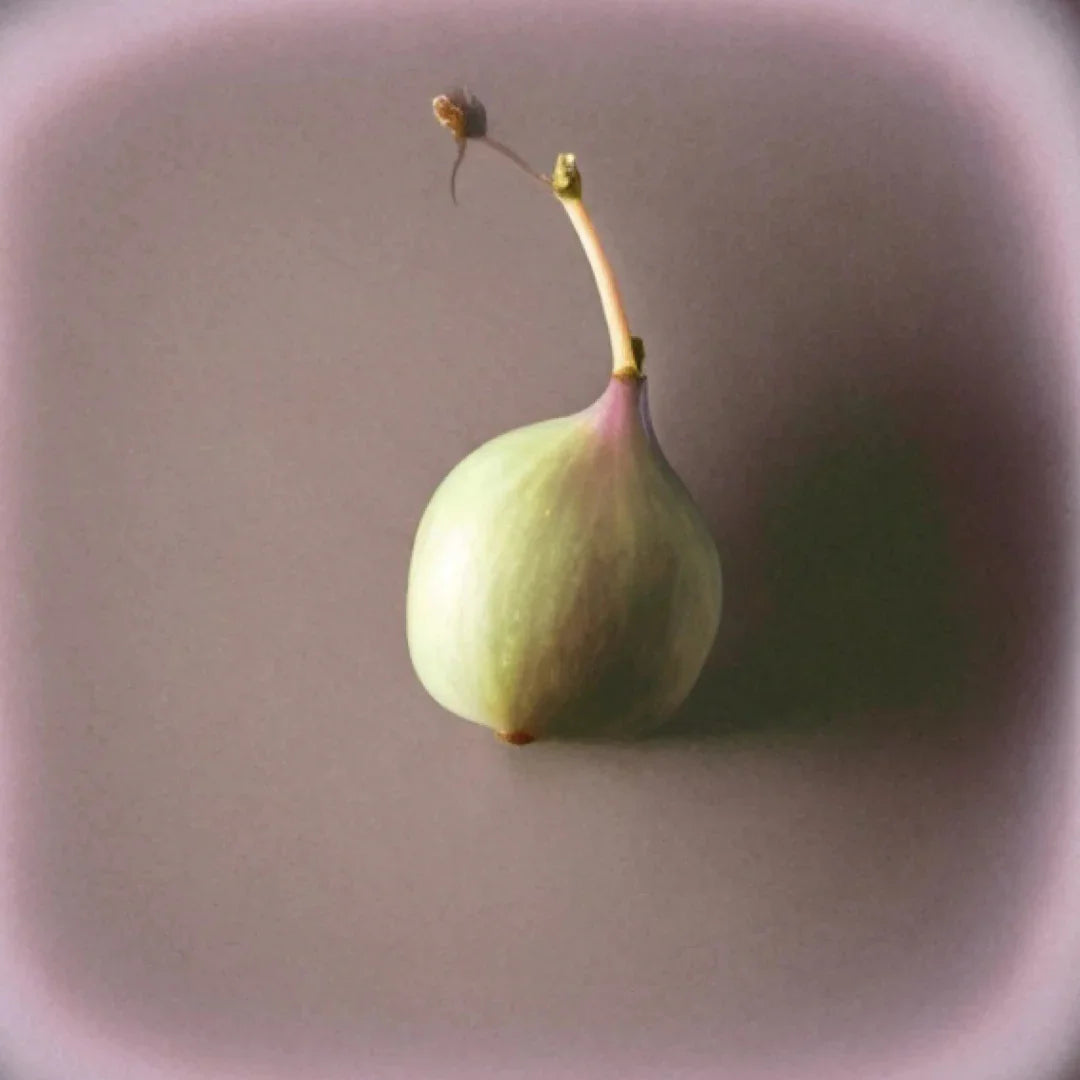 Feige auf Teller, Bestandteil des Unisex Nischenduft Pantomime Act 1