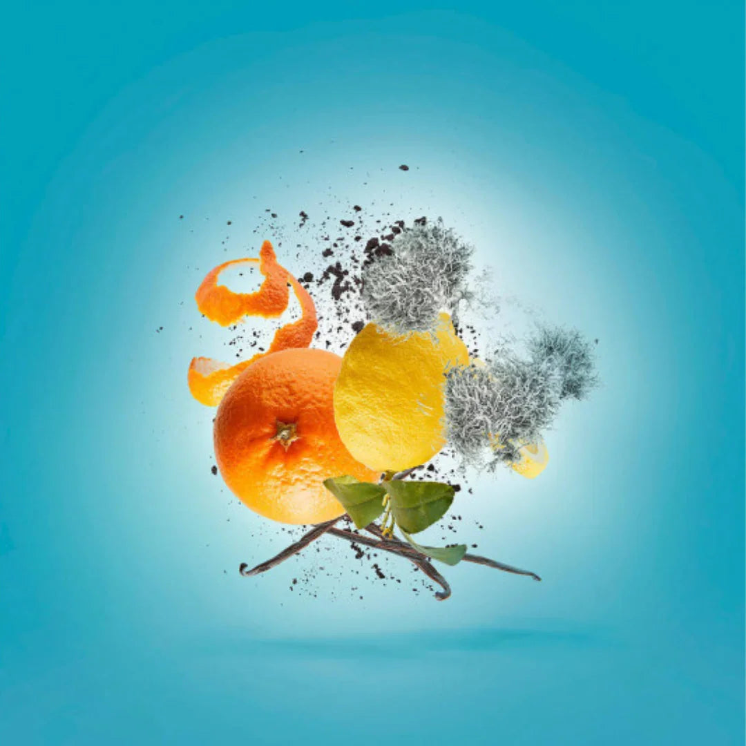 Xerjoff ERBA PURA – moderner Unisexduft mit Vanille und Zitrusnoten, jetzt bei scent amor