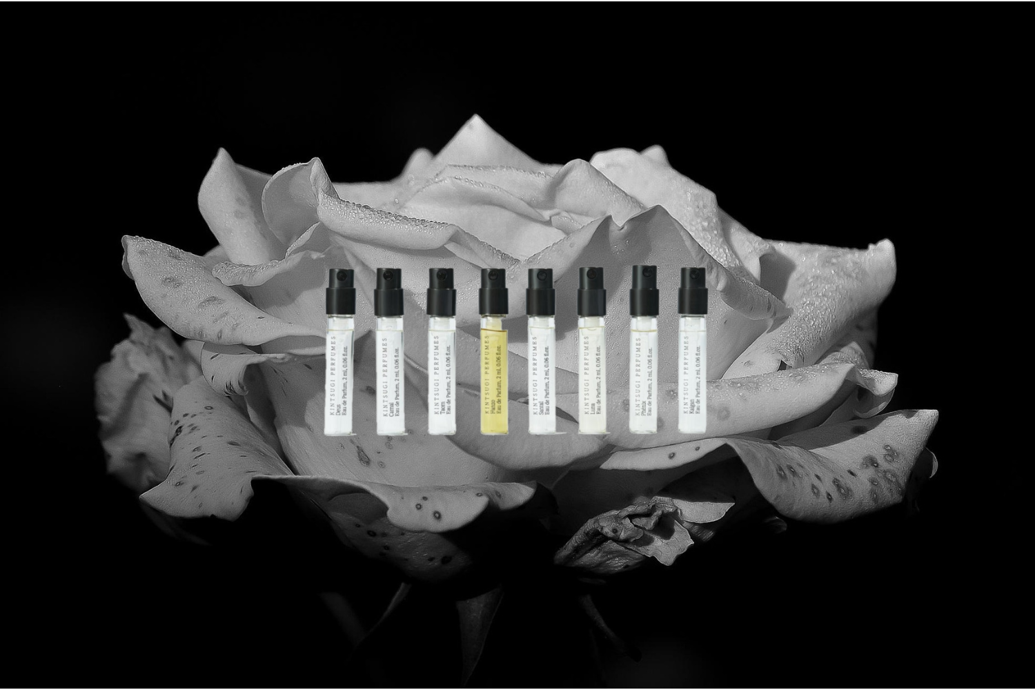 Probenflakons mit taufrischer Rose bei scent amor ihrem Experten für Luxusparfums