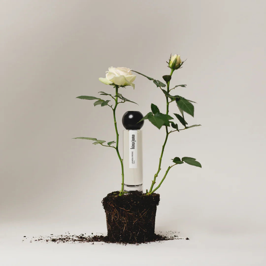 Flakon des Journeys Collection - Lhasa Rose 1924 von hima jomo, in einer Blumenerde mit aufkeimenden Rosen.