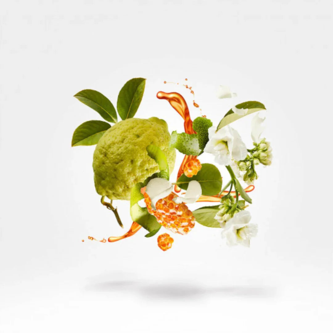 Mediterraner Nischenduft Xerjoff NAXOS erleben – sinnliche Duftreise nach Sizilien bei scent amor