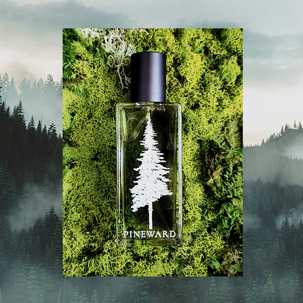 Ein Stück Wald für die Haut: scent amor präsentiert die exklusiven Nischenparfums von Pineward. 