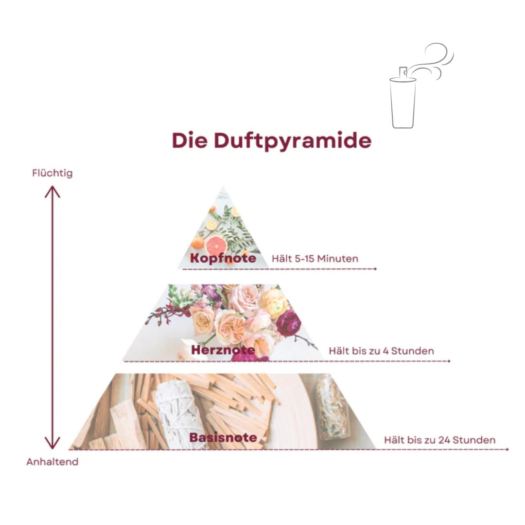 Duftpyramide Kopfnote Herznote Basisnote Nischenparfums bei scent news für scent amor