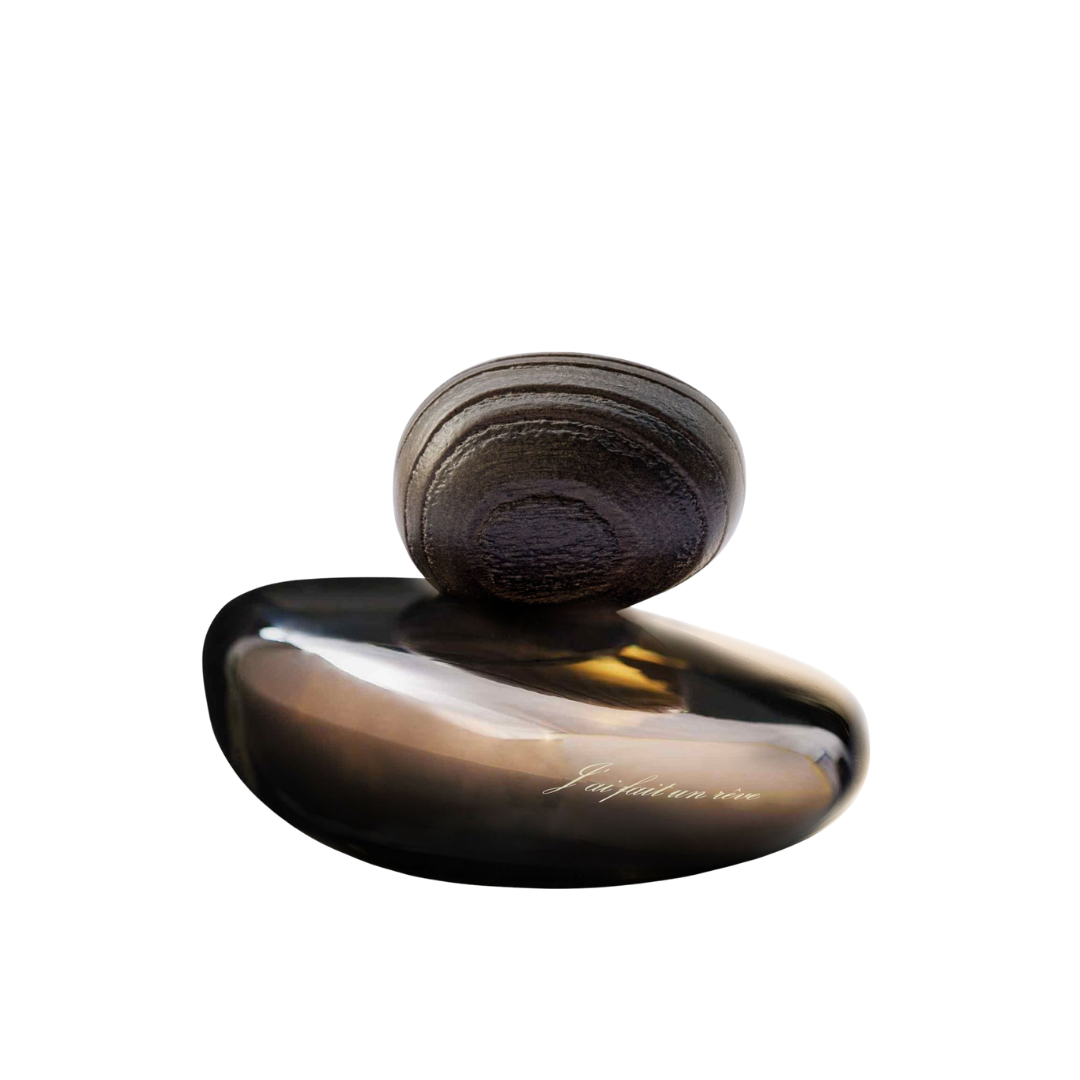 J'ai Fait Un Rêve Obscur