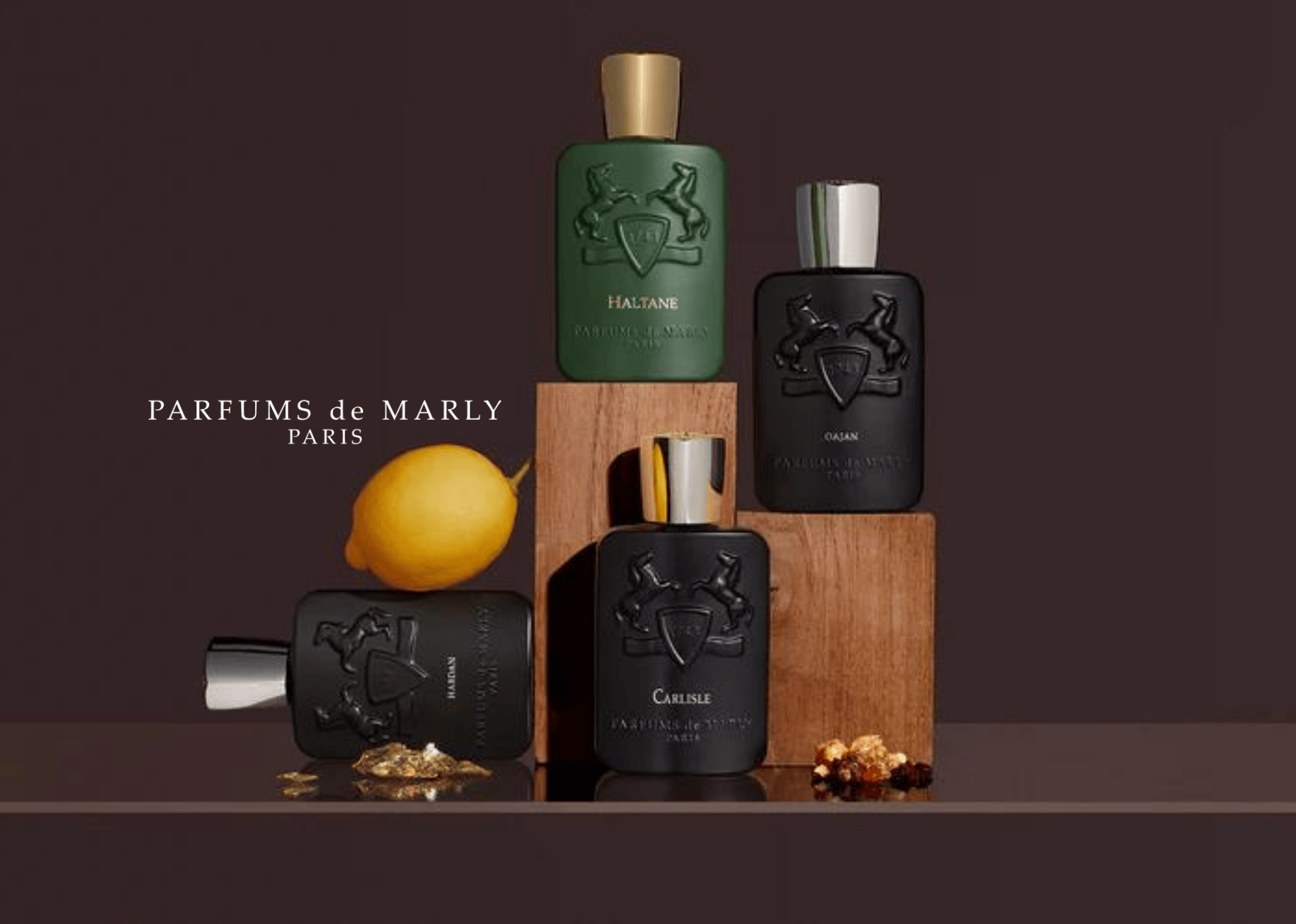 Parfums de Marly Kollektion von schwarzen und grünem Flakon arrangiert mit Holz und Gewürzen