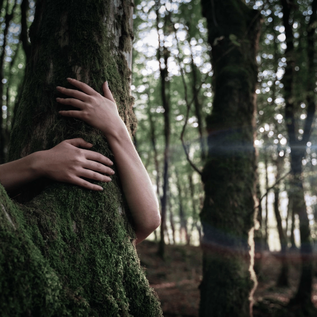 Adâme MADRE Extrait de Parfum scent amor Nischenduft Baum der umarmt wird