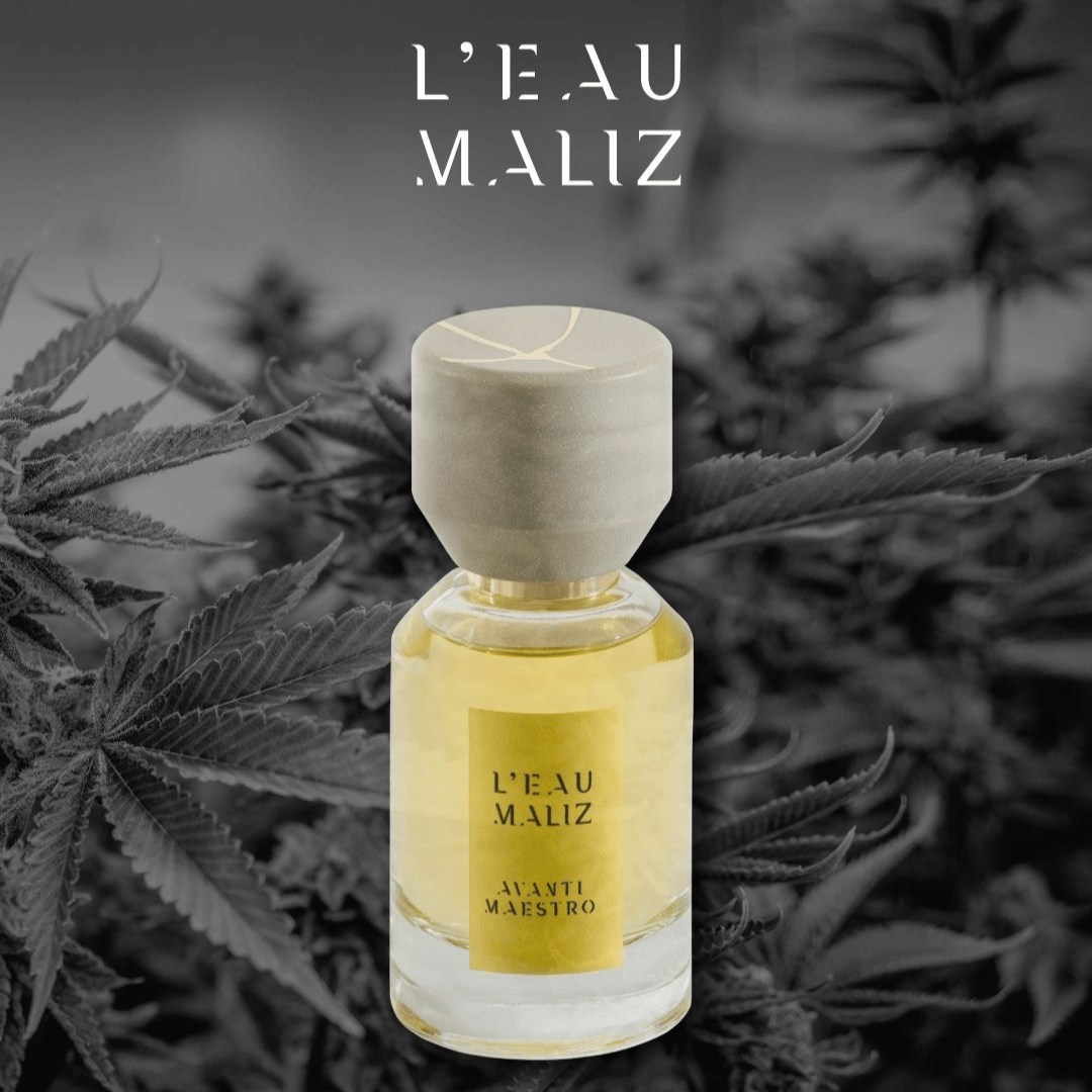 Avanti Maestro L'Eau de Maliz Parfum bei scent amor mit schwarz weiss Motiv Canabis im Hintergrund