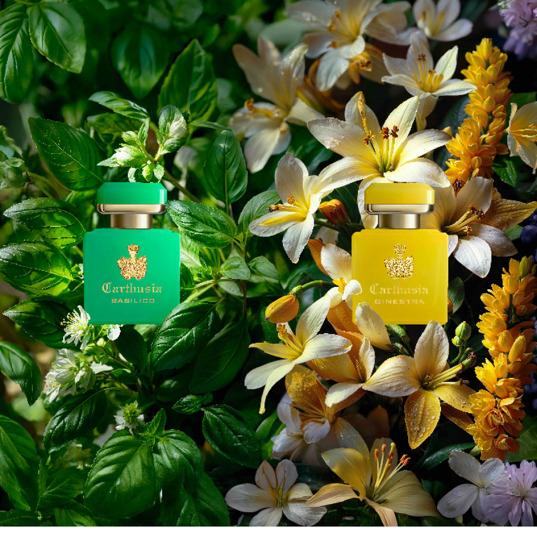 Carthusia Intenso di Basilico Eau de Parfum auf Blüten und Basilikum bei scent amor Nischendüfte