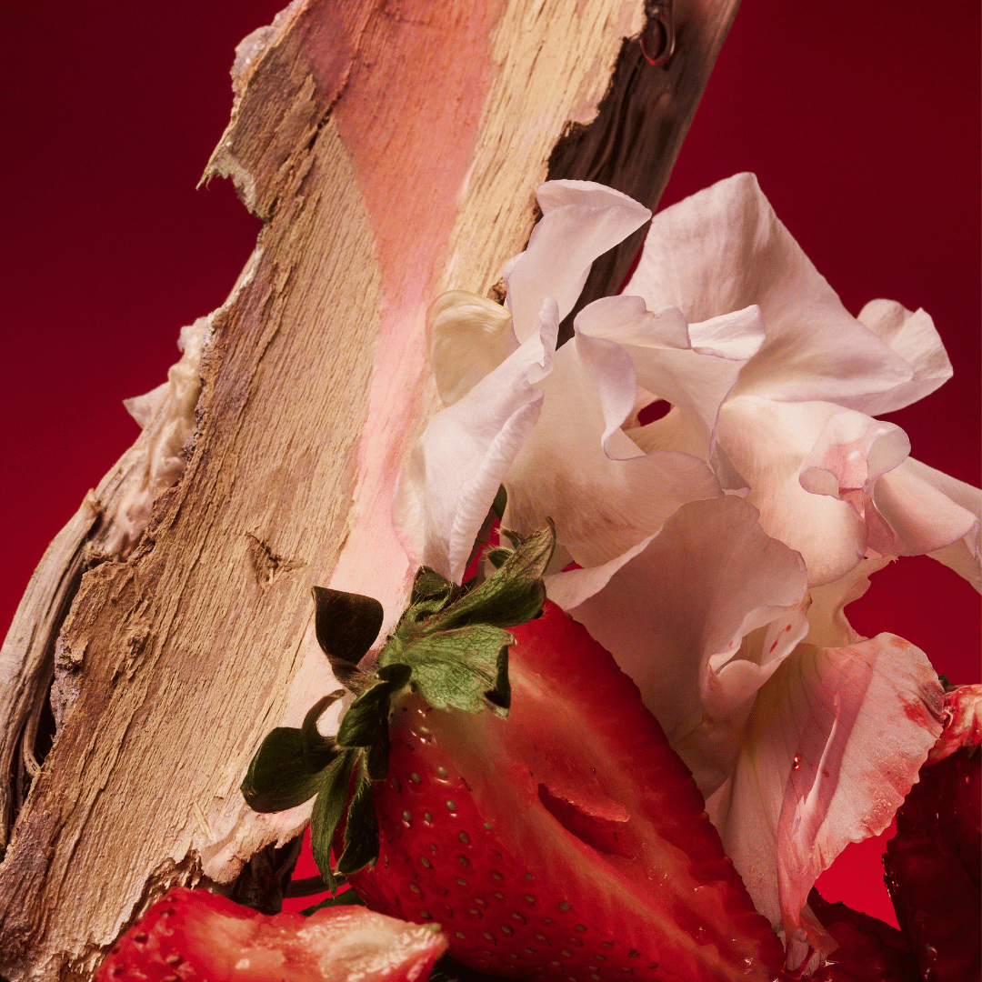 D'ORSAY Rose Blaze Nischenduft Blüten bei scent amor Fachmann für Nischenparfum