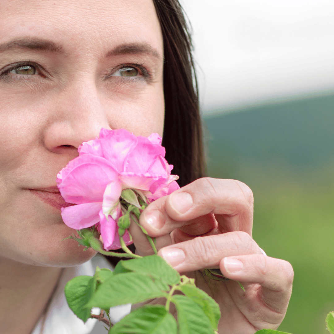 D'Orsay Une rose au paradis R.B. scent amor Parfumeurin