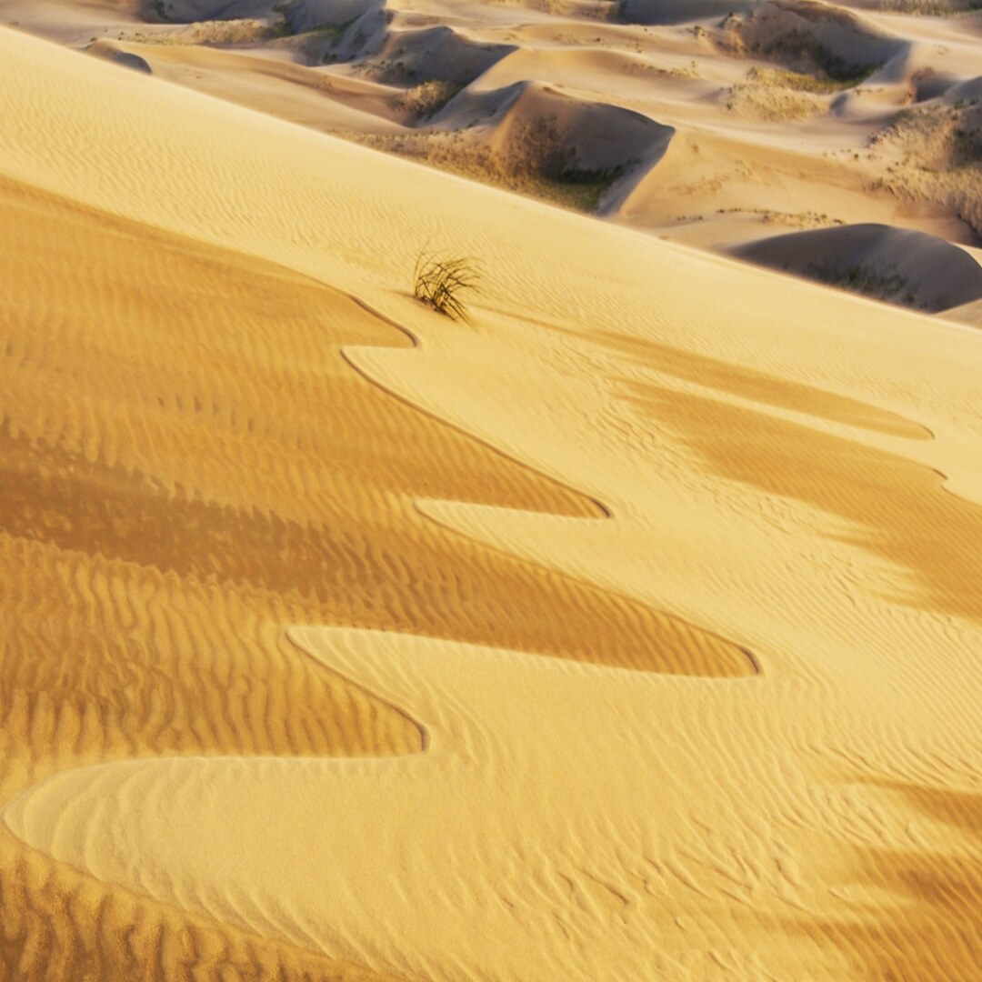 Bu Feng Deserts Verge Sandwüste bei scent amor