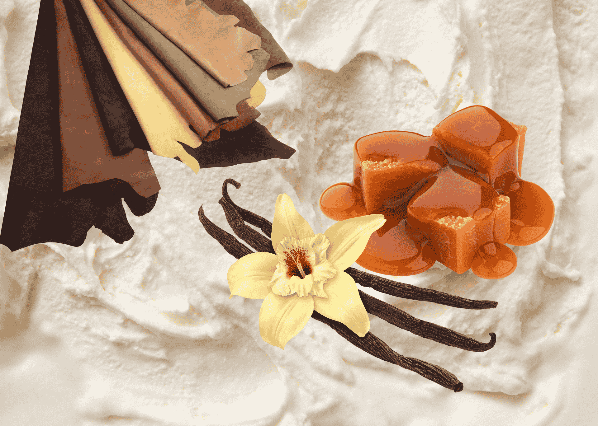 Vanille Eiscreme mit Karamell-Vanilleblüte und Schote-und Lederstücke