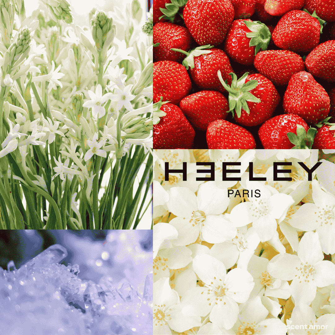 Nischenduft Rohstoffe Jasmin Erdbeere Moschus Tuberose von Heeley Bubble Gum Chic bei scent amor