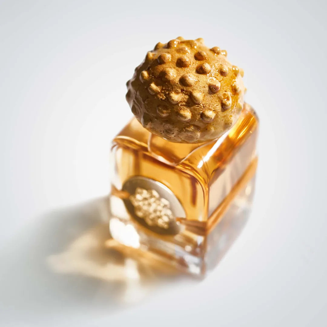 Mendittorosa-SOGNO-REALE-scent-amor-Nischenduft-Extrait-Parfum von oben fotografiert