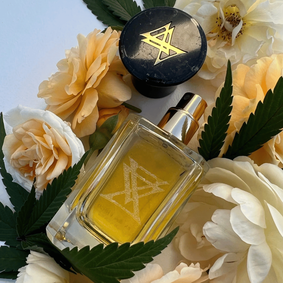 Extra Virgo MONTE KUSH Extrait de Parfum Nischenduft Flakon geöffneter Stopper zwischen Blüten und Cannabis Blättern präsentiert bei scent amor
