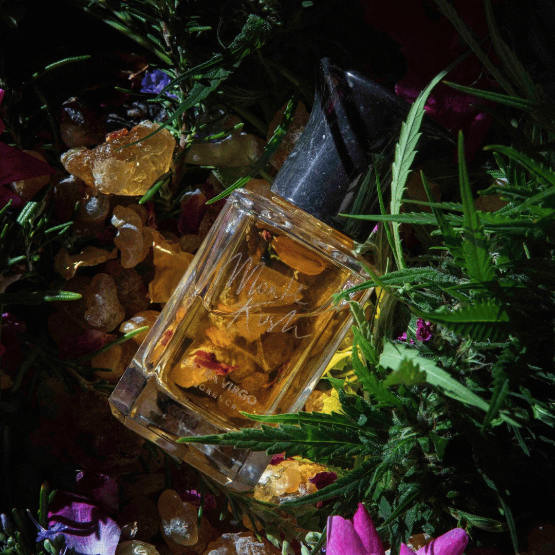 Extra Virgo MONTE KUSH Extrait de Parfum auf Weihrauch und Kräutern präsentiert bei scent amor Deinem Fachmann für die feinsten Nischenparfums