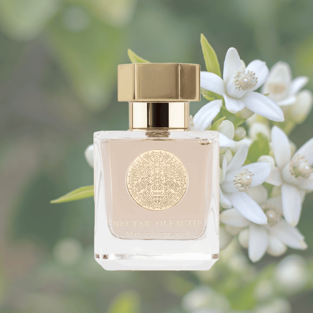 Nectar Olfactif MUSC SENSUEL La Ruche Eau de Parfum bei secnet amor