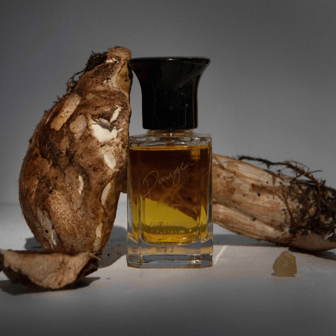 Extra Virgo PANGEA Extrait de Parfum mir Waldpilz im Hintergrund bei scent amor
