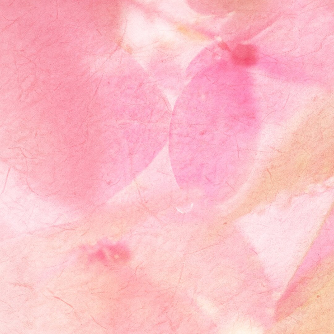 Bu Feng Peach Blossom Eau de Parfum mit rosafarbenen Blütenblättern bei scent amor Fachmann für feine Nischenparfum
