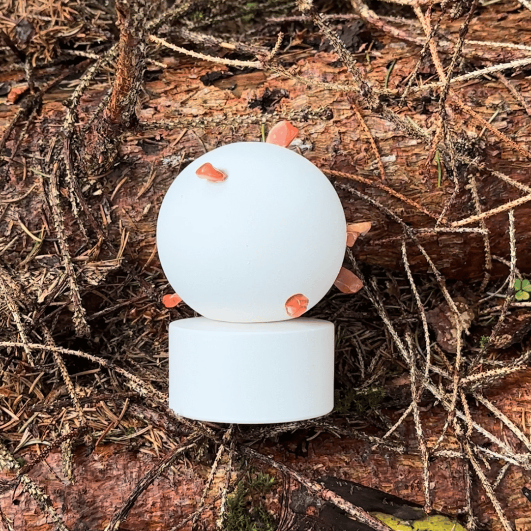 RESINA Extrait de Parfum Adame Flakon auf dem Waldboden präsentiert bei scent amor