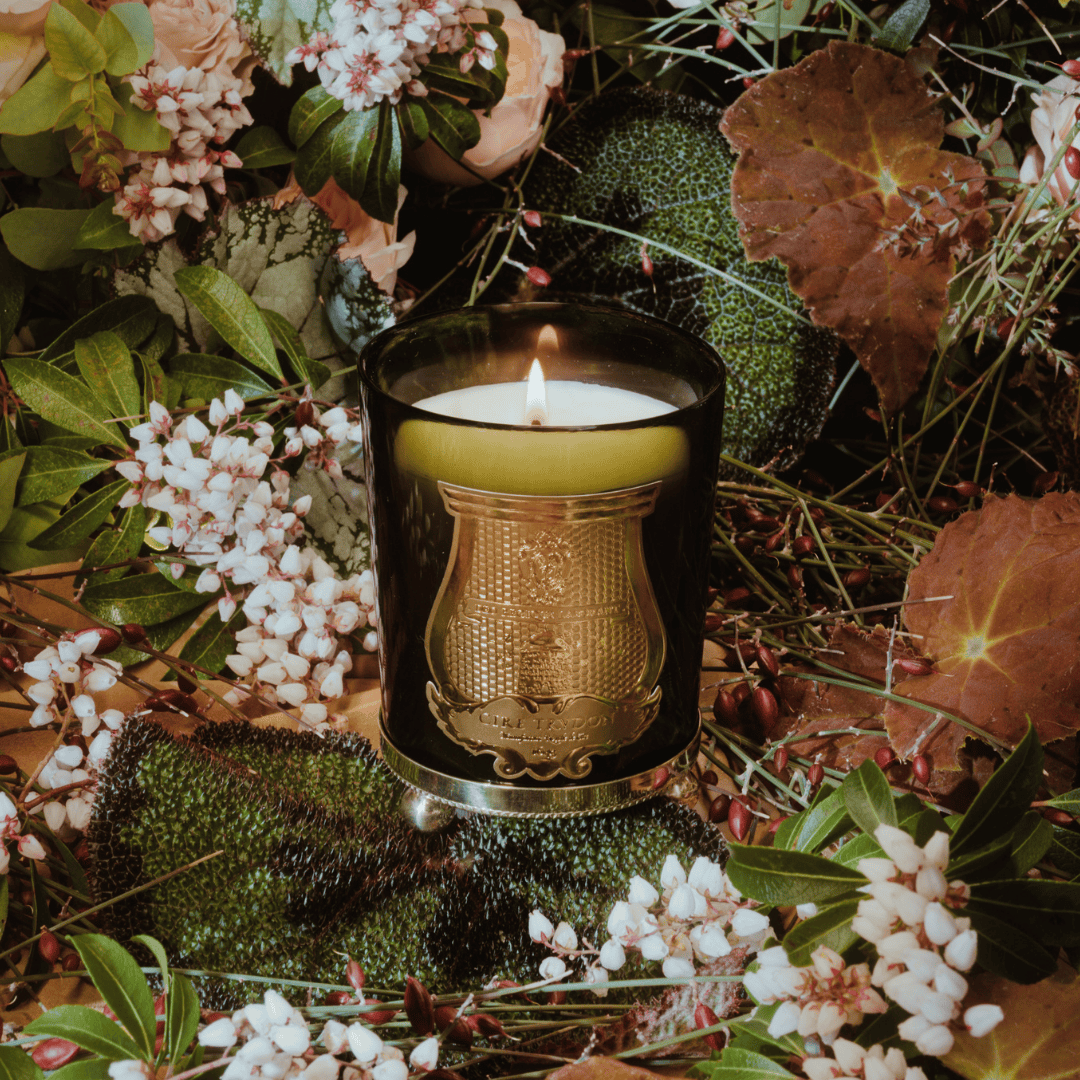 Trudon ERNESTO Scented Candle 270 g | scent amor auf Waldboden mit Blättern und Moos

