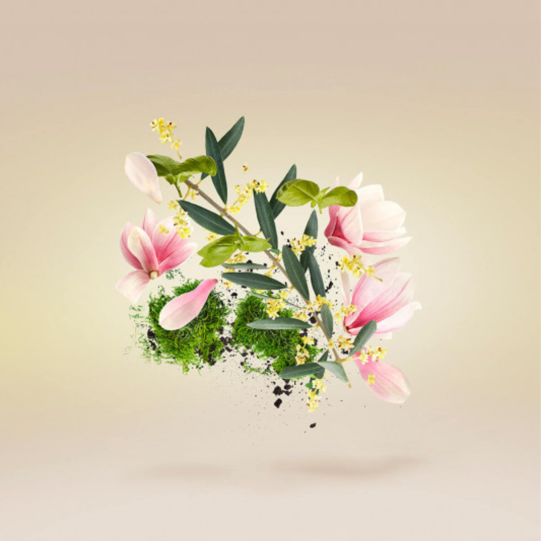 Duftkomposition von Xerjoff Fiore d’Ulivo Eau de Parfum mit floralen Noten und moosigem Akkord – eleganter Nischenduft der Casamorati-Kollektion, jetzt bei scent amor erleben
