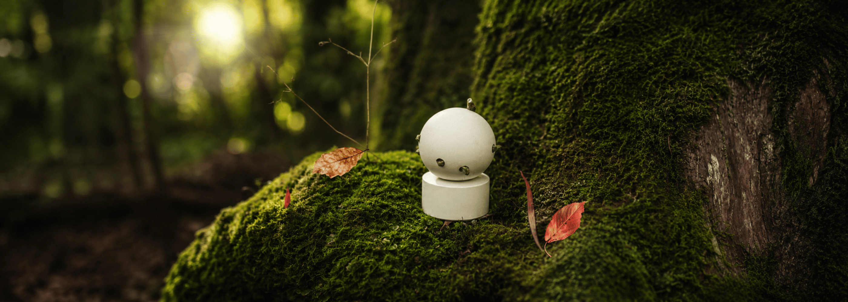 Adâme Madre – Extrait de Parfum auf Moos im Wald für scent amor Fachmann für Nischenduft