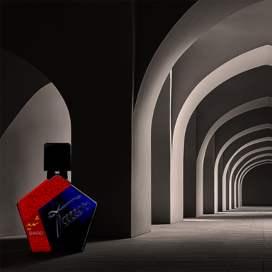 Andy Tauer Shadid Extrait de Parfum, kunstvolle Duftinszenierung des dunkelblauen Flakons in einer architektonischen Bogenhalle mit mystischer Atmosphäre, erhältlich bei scent amor.