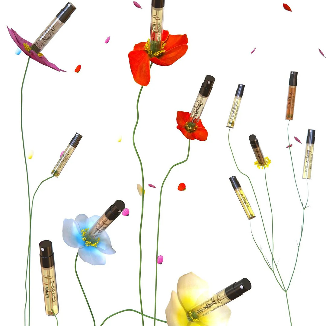 Astrophil & Stella Discovery Kit, kreative Präsentation der Duftproben zwischen farbenfrohen Blüten, exklusives Proben-Set, erhältlich bei scent amor