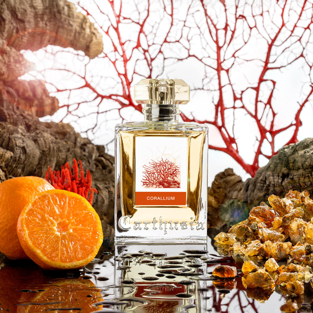 Carthusia CORALLIUM Duftbild mit Orange und Koralle – maritimes Parfum mit Capri-Atmosphäre jetzt bei scent amor entdecken