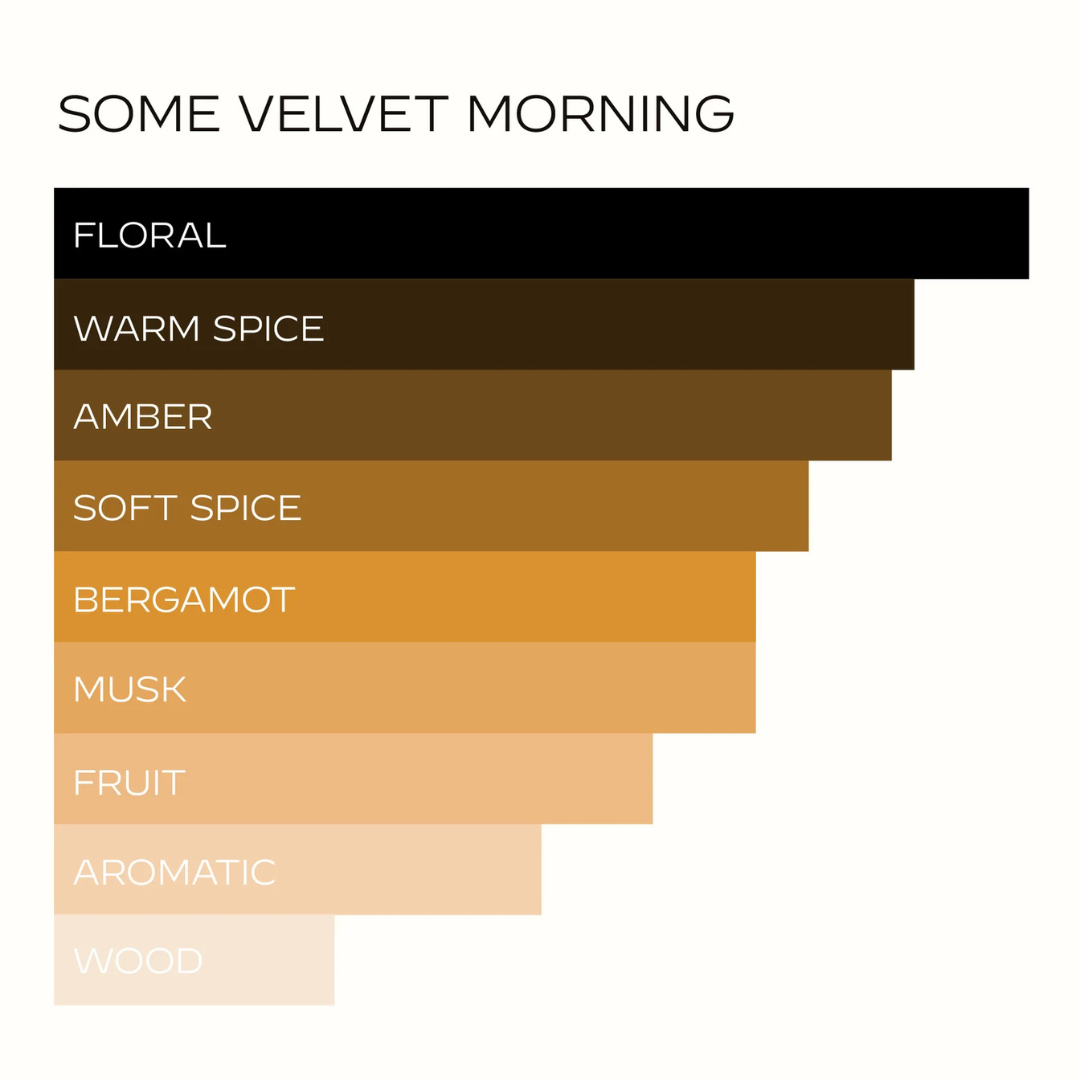 Hart + Hedi Some Velvet Morning Eau de Parfum – grafische Darstellung der Duftnoten und Charaktereigenschaften als Balkendiagramm, bei scent amor