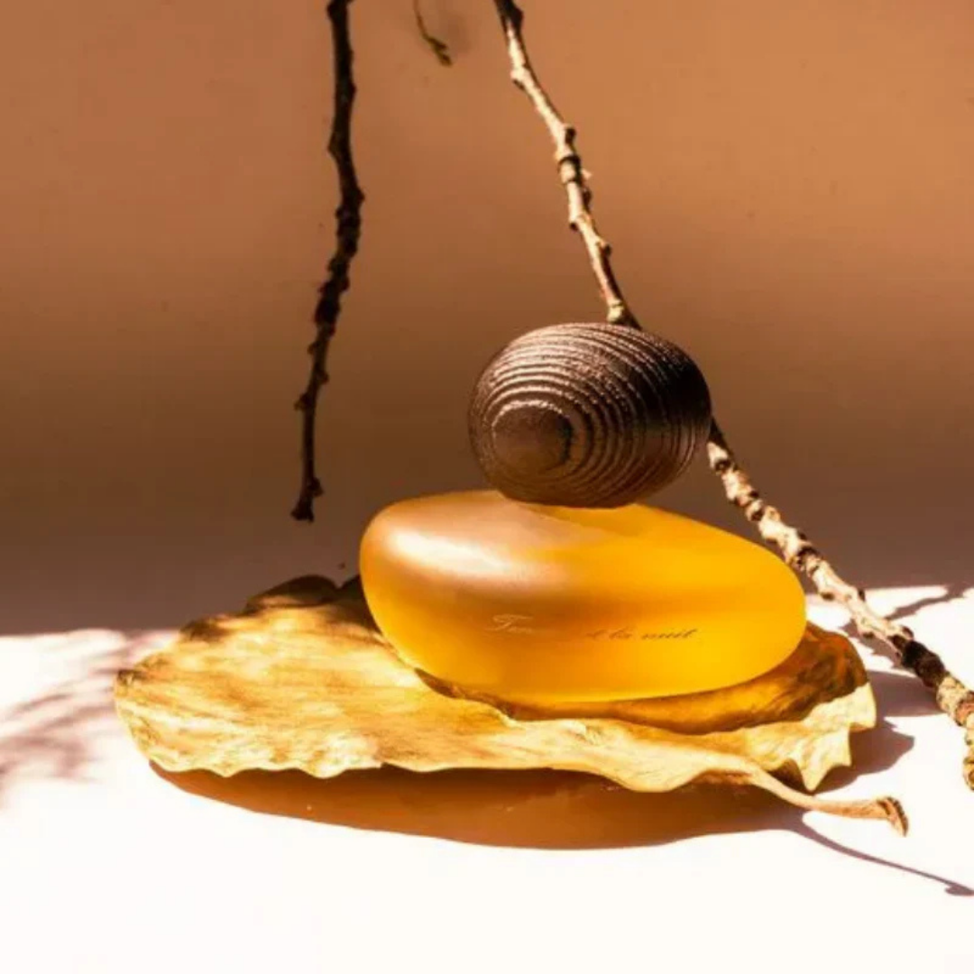 Majda Bekkali Tendre est la Nuit Clair Extrait de Parfum, inszeniert auf Blatt mit warmem Licht, natürlich und sinnlich, erhältlich bei scent amor.