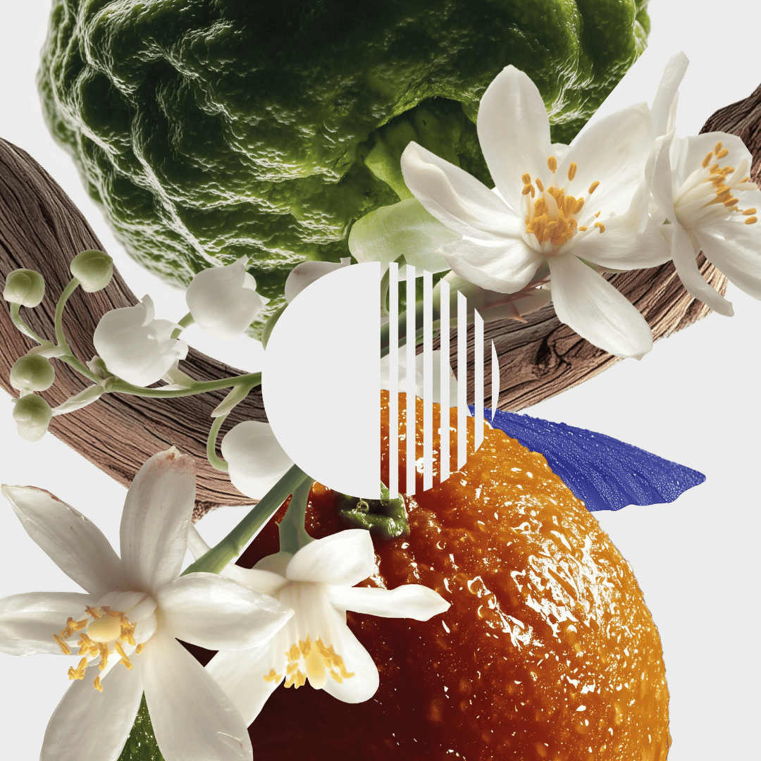Mayhap Amant Numérique Extrait de Parfum, Komposition aus Zitrusfrüchten, Blüten und Holznoten, frisch und modern interpretiert, erhältlich bei scent amor.