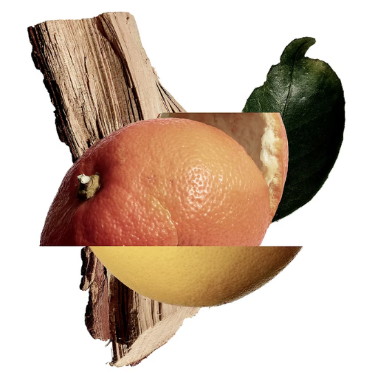 New Notes Akigala Mandarino Extrait de Parfum, kreative Komposition aus Grapefruit, Holz und grünen Blättern als Inspiration des Duftes, erhältlich bei scent amor.