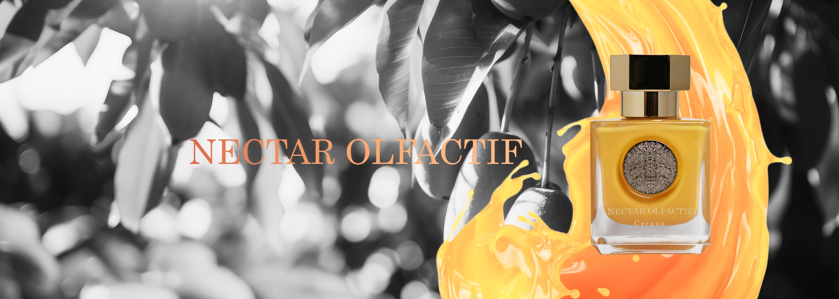 kaufe Nischenduft Marke Nectar Olfactif mit dem Parfum CERANA bei dem Experten scent amor